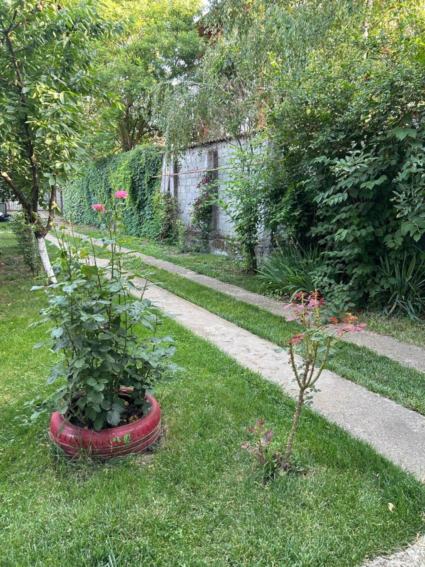 Vila De Inchiriat Aproape De Therme Балотещи Екстериор снимка